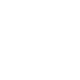 Icon eines weißes Pfeils nach rechts