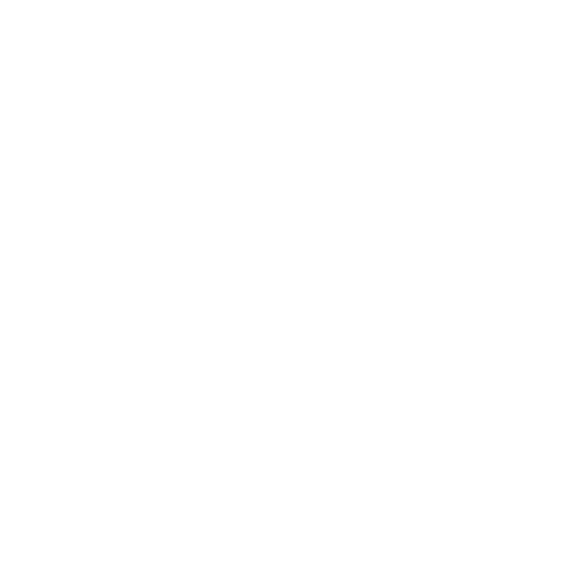 Icon eines weißen Pins